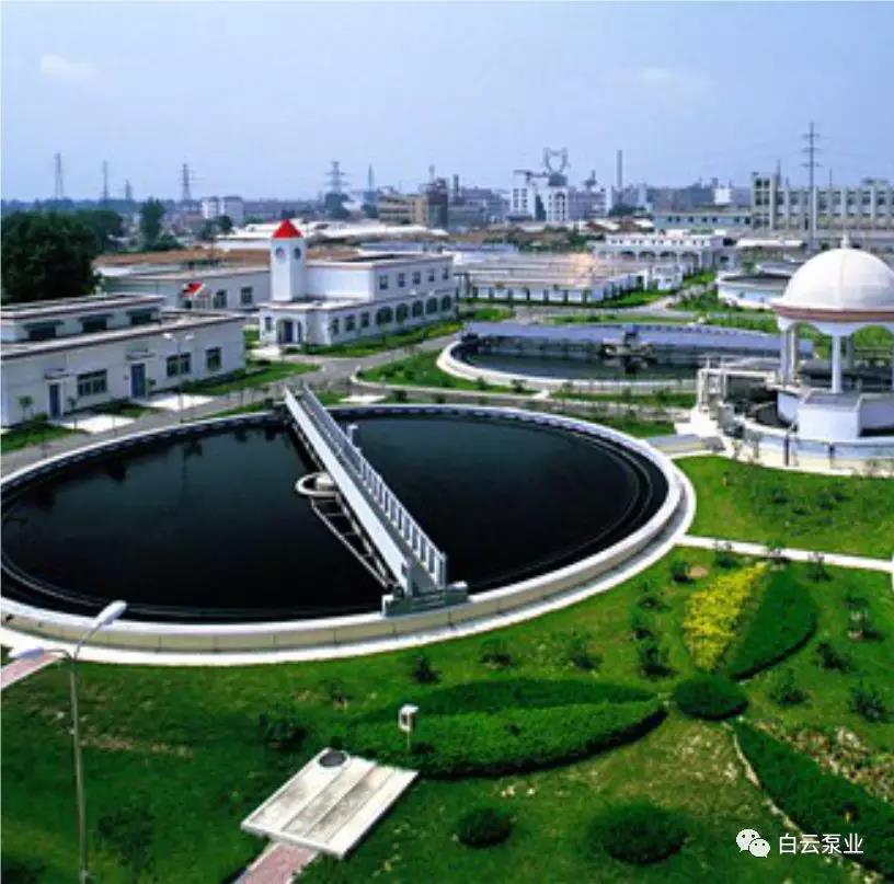 1544770702645112.jpg 2.jpg