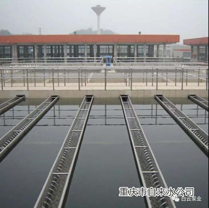 1544770717644695.jpg 3.jpg