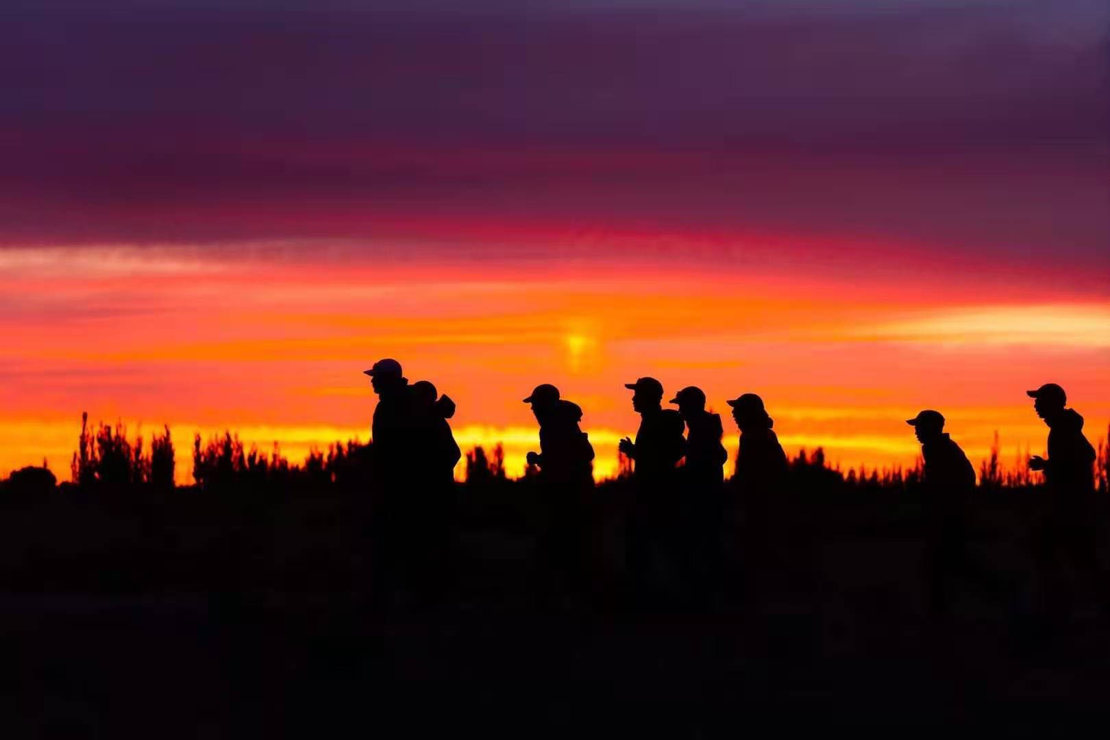 1606699734980030.jpg 1606699734980030.jpg